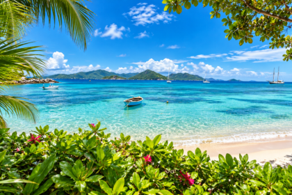reunion insel